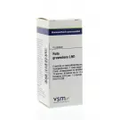 VSM Ruta graveolens LM1 4 gram globuli