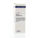 VSM Conium maculatum D6 20 ml druppels