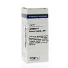 VSM Gelsemium sempervirens LM6 4 gram globuli