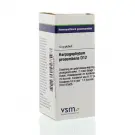 VSM Harpagophytum procumbens D12 10 gram globuli