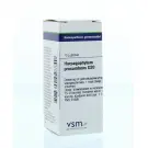VSM Harpagophytum procumbens D30 10 gram globuli