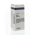 VSM Avena sativa D6 10 gram globuli