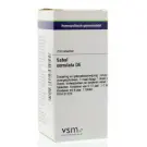 VSM Sabal serrulata D6 200 tabletten