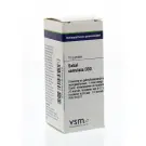 VSM Sabal serrulata D30 10 gram globuli