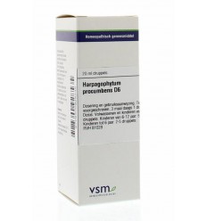 Artikel 4 enkelvoudig VSM Harpagophytum procumbens D6 20 ml
