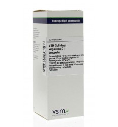 Artikel 4 enkelvoudig VSM Solidago virgaurea D1 50 ml kopen