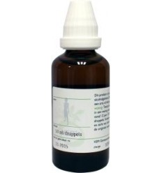 VSM Crataegus oxyacantha D1 50 ml