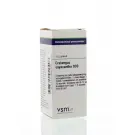 VSM Crataegus oxyacantha D30 10 gram globuli