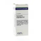 VSM Hamamelis virginiana D12 10 gram globuli