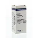 VSM Hamamelis virginiana D30 10 gram globuli