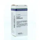 VSM Cuprum aceticum D6 10 gram globuli