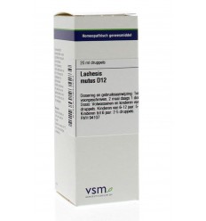 Artikel 4 enkelvoudig VSM Lachesis mutus D12 20 ml kopen