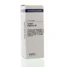 VSM Lycopus virginicus D6 20 ml druppels