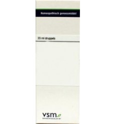Artikel 4 enkelvoudig VSM Teucrium marum verum D6 20 ml kopen