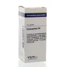 VSM Colocynthis D4 10 gram globuli