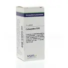 VSM Colocynthis D30 10 gram globuli
