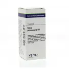 VSM Sticta pulmonaria D6 10 gram globuli