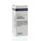 VSM Symphytum officinale D200 4 gram globuli