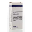 VSM Phytolacca decandra C30 4 gram globuli