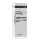 VSM Sanguinaria canadensis D6 20 ml druppels