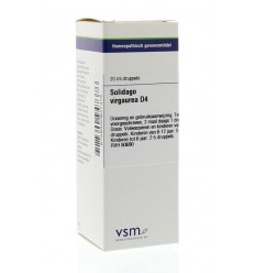 Artikel 4 enkelvoudig VSM Solidago virgaurea D4 20 ml kopen