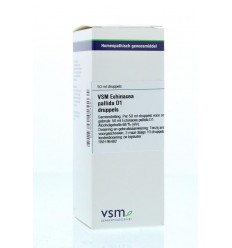 VSM Echinacea pallida D1 50 ml