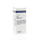VSM Apis mellifica D12 10 gram globuli