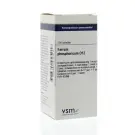 VSM Ferrum phosphoricum D12 200 tabletten