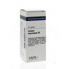 VSM Conium maculatum D6 10 gram globuli