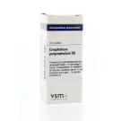 VSM Gnaphalium polycephal D6 10 gram globuli