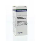 VSM Gnaphalium polycephalum D30 10 gram globuli