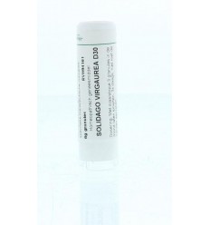 Homeoden Heel Solidago virgaurea D30 6 gram granules