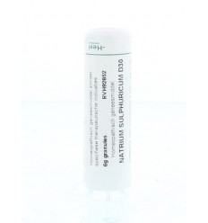 Homeoden Heel Natrium sulphuricum D30 6 gram granules