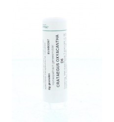 Homeoden Heel Crataegus oxyacantha D6 6 gram granules