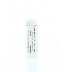 Homeoden Heel Solidago virgaurea D12 6 gram granules