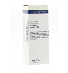 Artikel 4 enkelvoudig VSM Lachesis mutus D10 20 ml kopen