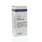 VSM Conium maculatum MK 4 gram globuli