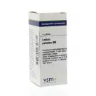 VSM Ledum palustre MK 4 gram globuli