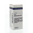 VSM Rhus toxicodendron 30K 4 gram globuli
