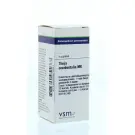 VSM Thuja occidentalis MK 4 gram globuli