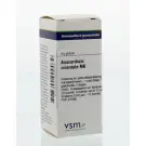 VSM Anacardium orientale MK 4 gram globuli