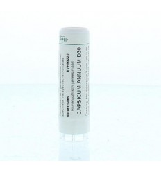 Homeoden Heel Capsicum annuum D30 6 gram granules
