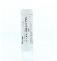 Homeoden Heel Teucrium marum verum D30 6 gram granules
