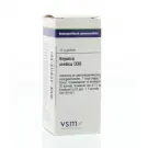 VSM Bryonia cretica d30 10 gram globuli