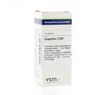 VSM Graphites C200 4 gram globuli