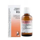 Dr Reckeweg Grippe gastreu R6 50 ml