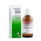 Dr Reckeweg Coconium gastreu R29 50 ml