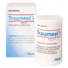 Heel Traumeel S 250 tabletten