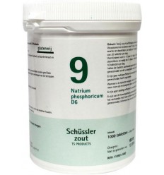 Pfluger Natrium phosphoricum 9 D6 Schussler 1000 tabletten