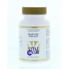 Vital Cell Life Vitamine B6/B12/B2 folaat 60 vcaps